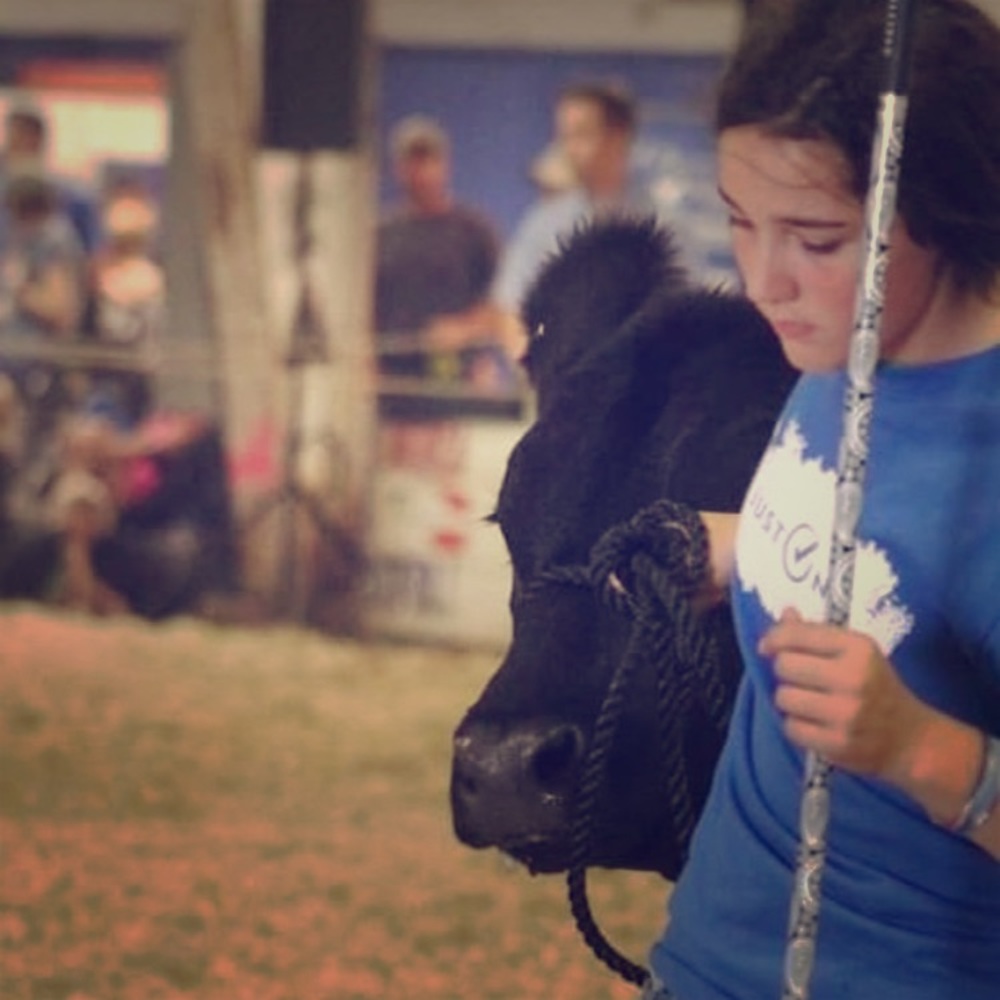 Meet your Posher, Grace